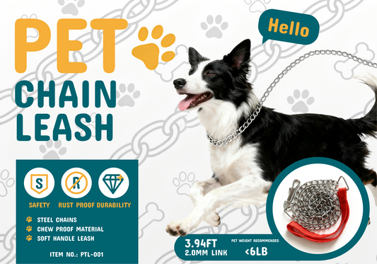 DOG CHAIN LEASH